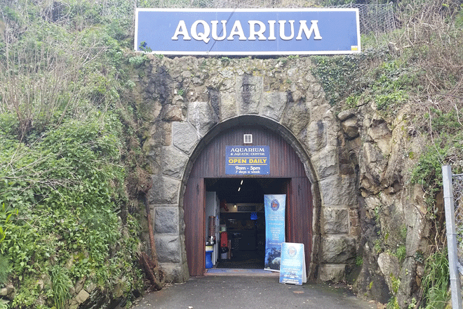 aquarium