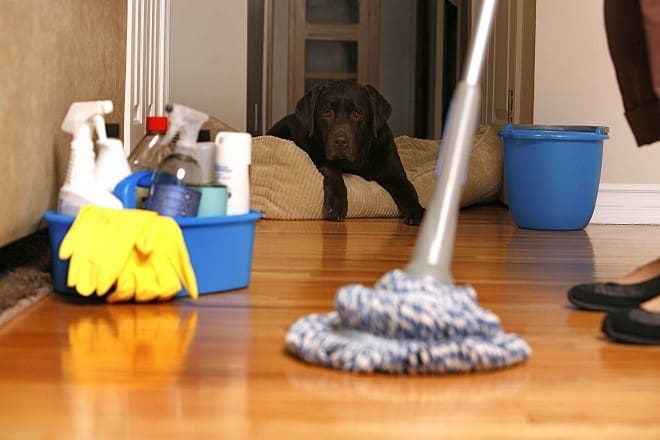 Helping Hands – domestic-cleaning-services1